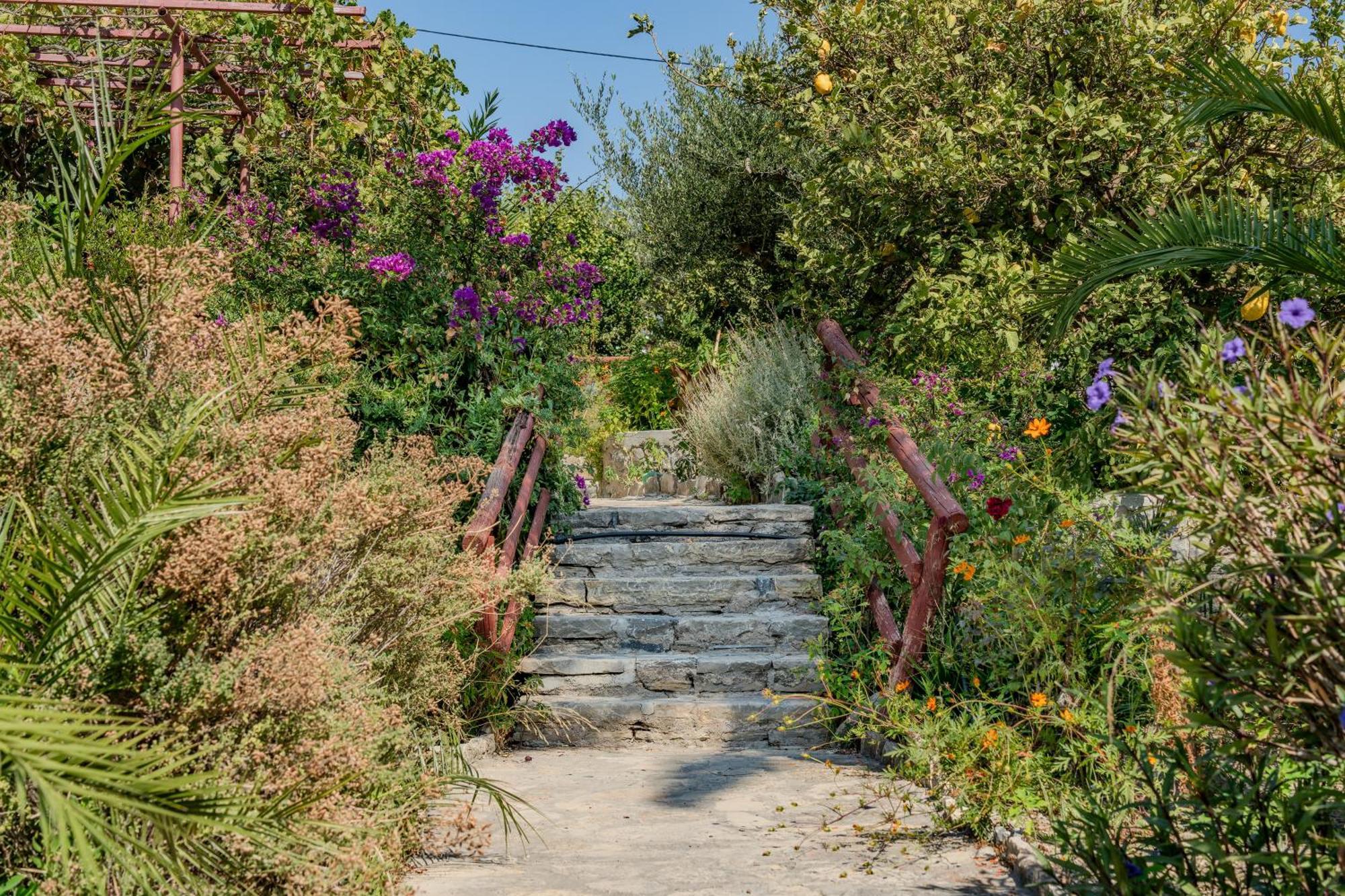 Athina Villas Istro Exterior photo